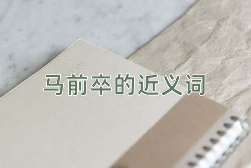 马前卒的近义词