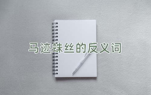 马迹蛛丝的反义词