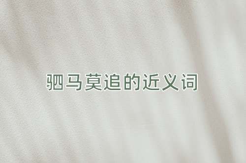 驷马莫追的近义词