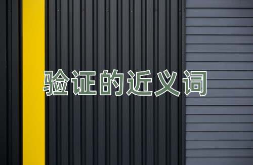 验证的近义词