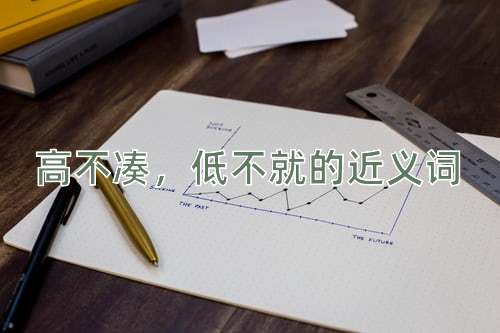 高不凑，低不就的近义词