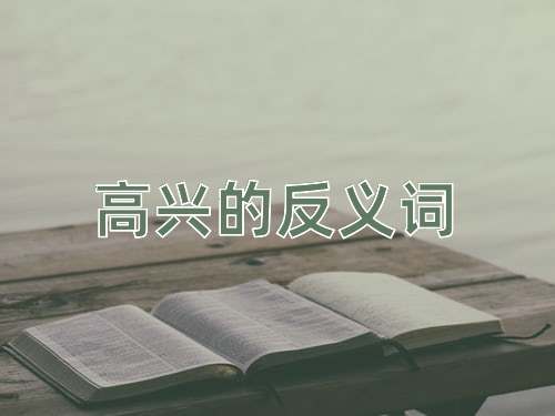 高兴的反义词
