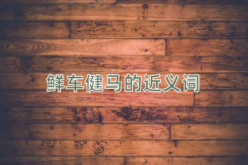 鲜车健马的近义词
