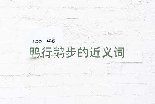 鸭行鹅步的近义词