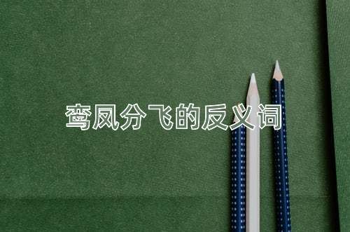 鸾凤分飞的反义词