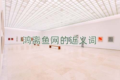 鸿离鱼网的近义词