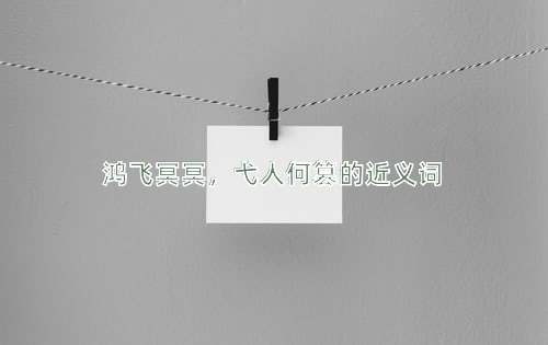 鸿飞冥冥，弋人何篡的近义词