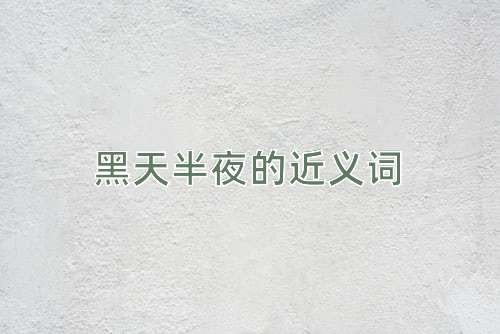 黑天半夜的近义词