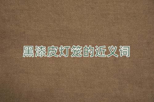 黑漆皮灯笼的近义词