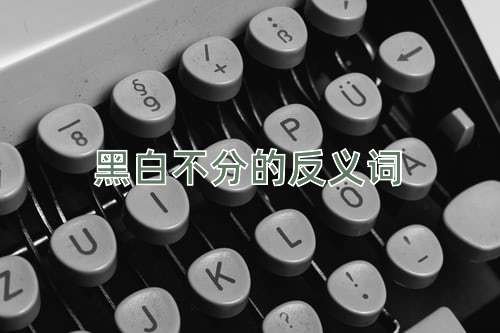 黑白不分的反义词