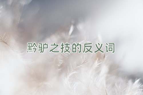 黔驴之技的反义词