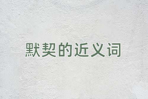 默契的近义词