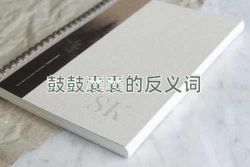 鼓鼓囊囊的反义词