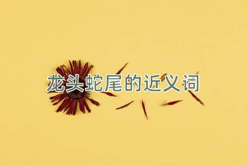 龙头蛇尾的近义词