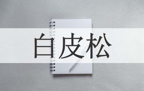白皮松