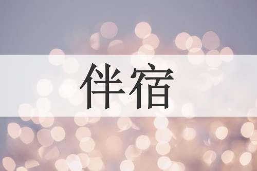 伴宿