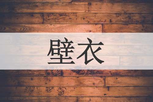 壁衣