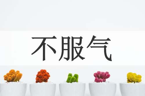 不服气