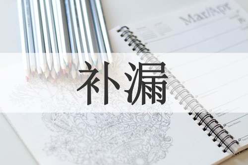 补漏