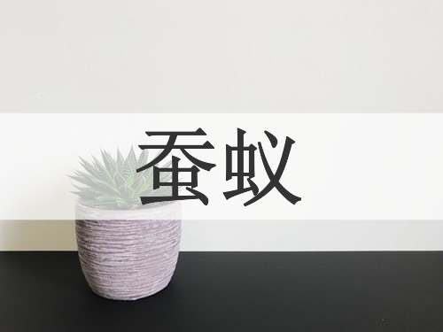 蚕蚁