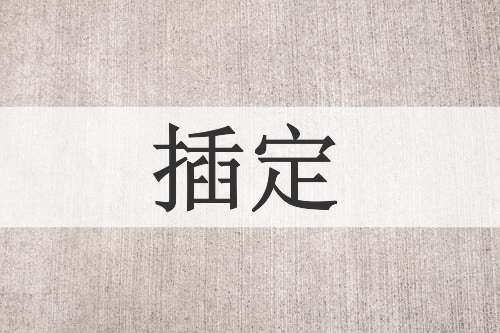 插定