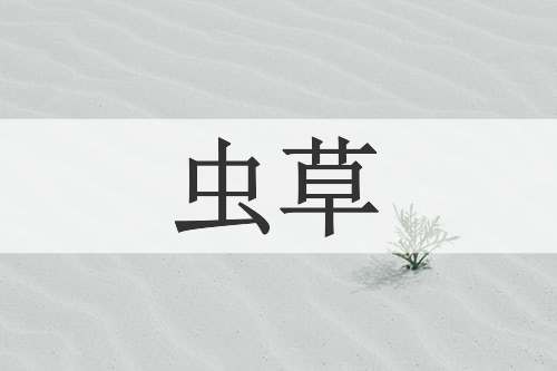 虫草