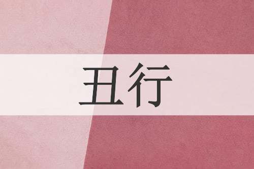 丑行