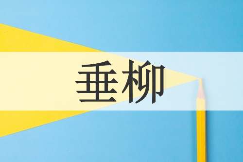 垂柳
