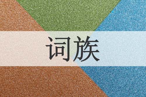 词族