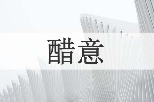 醋意