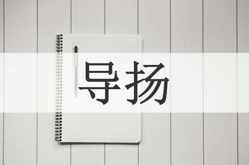 导扬