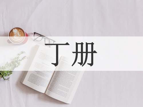丁册