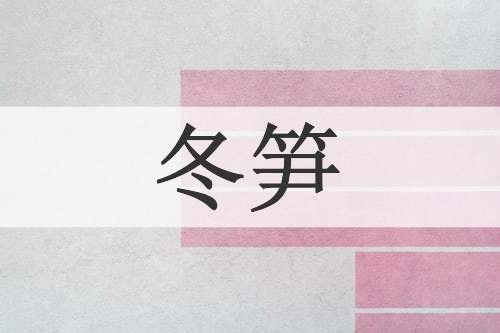 冬笋