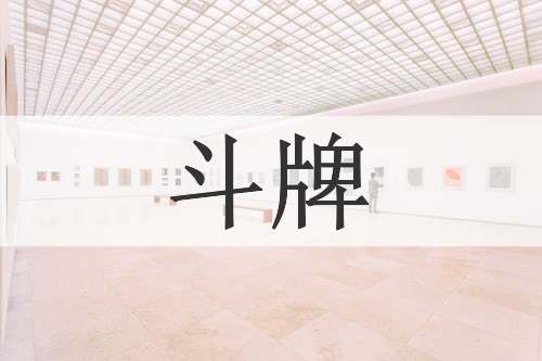 斗牌