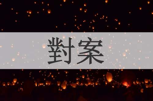 對案
