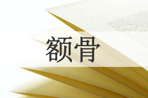 额骨