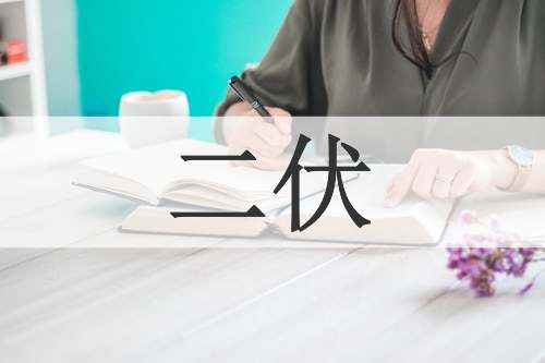 二伏