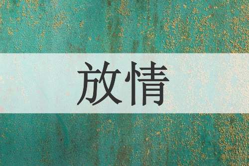 放情