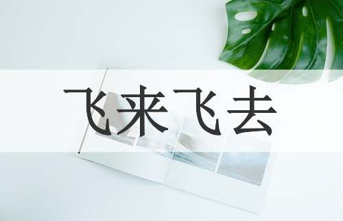 飞来飞去