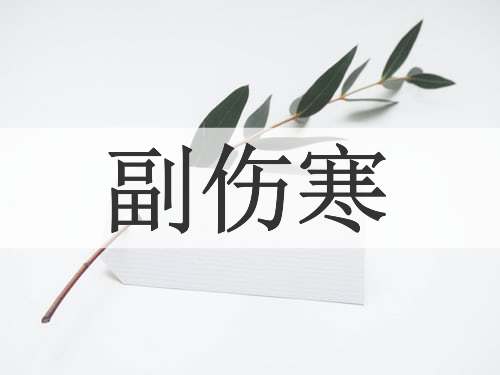 副伤寒