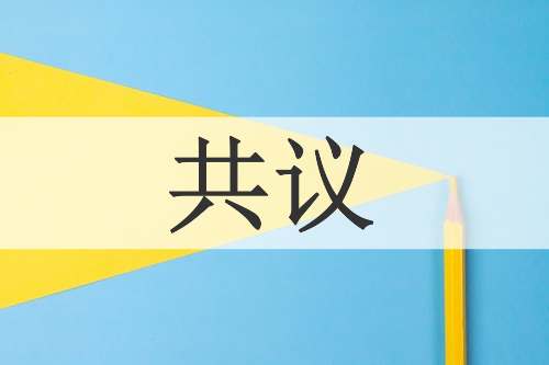 共议