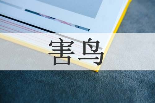 害鸟