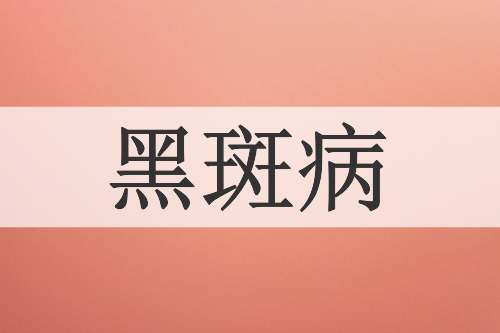 黑斑病