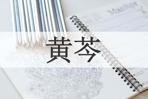 黄芩
