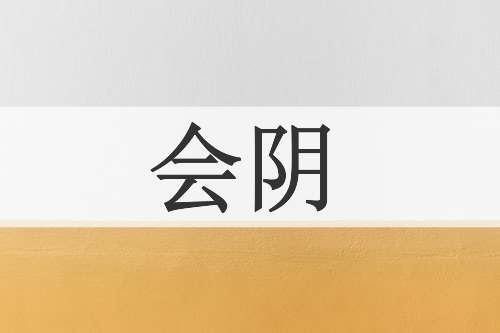 会阴
