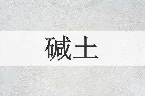 碱土