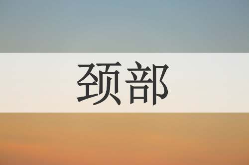 颈部