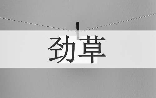 劲草