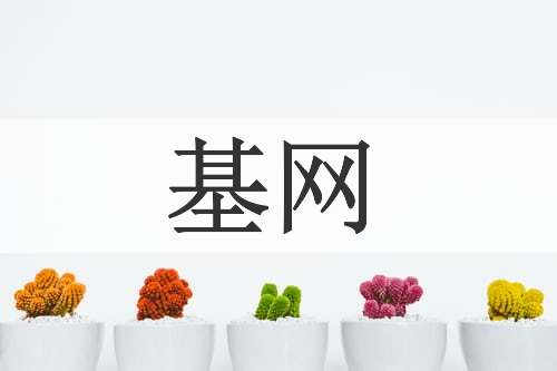 基网