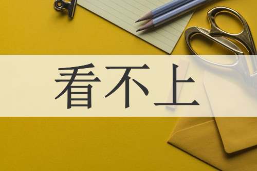 看不上